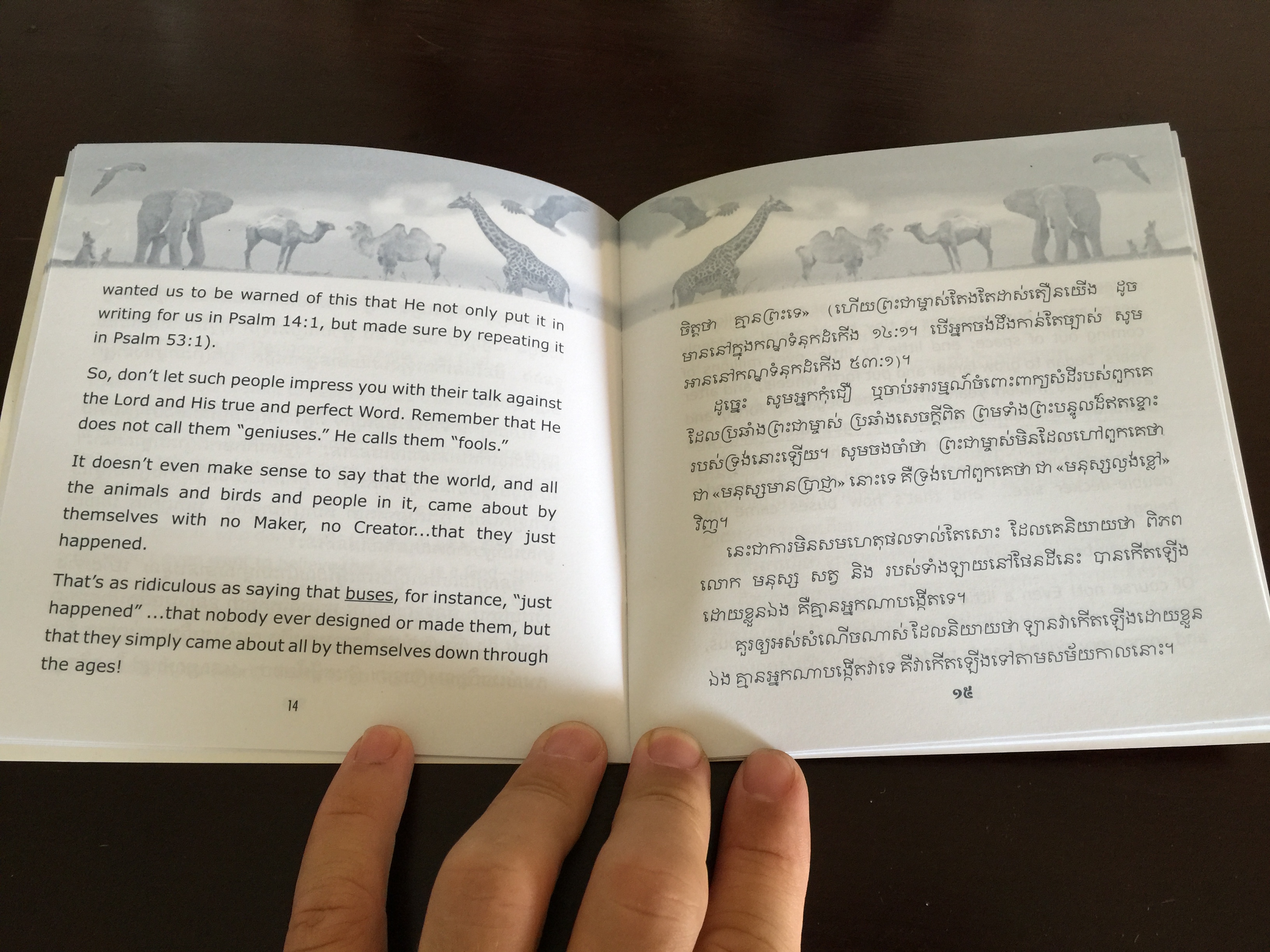 God's Amazing Animals Book 1 by Allegra McBirney 1